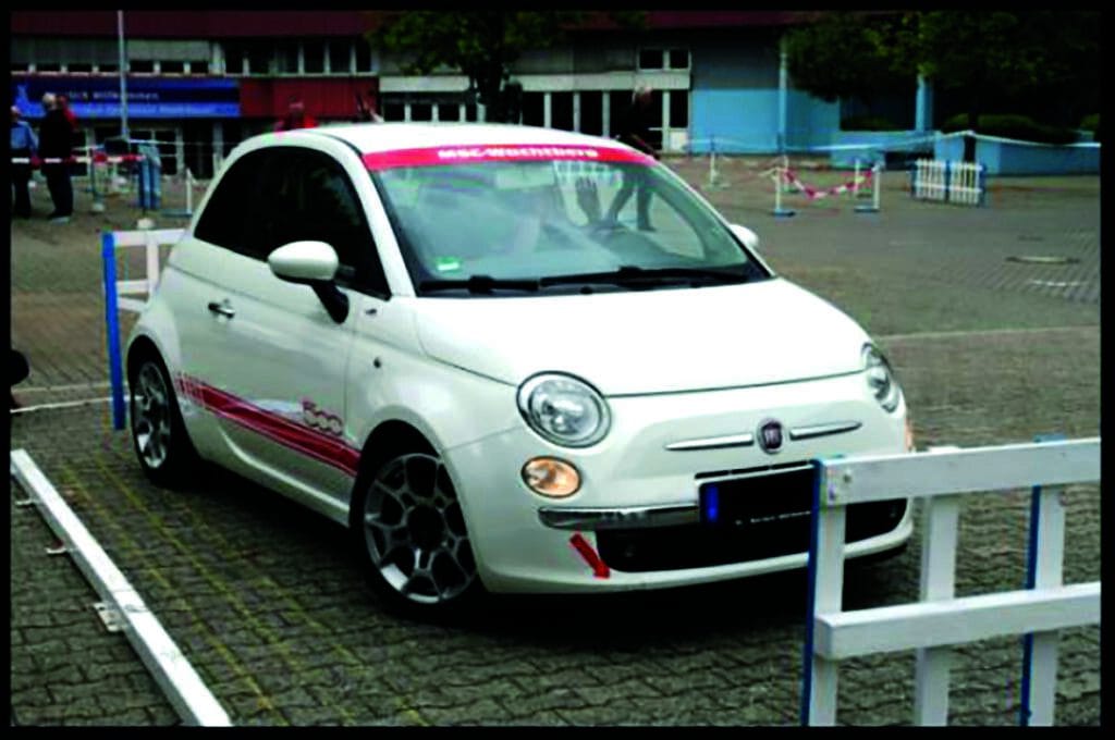 FIAT© MSC Ranzel 1024x680